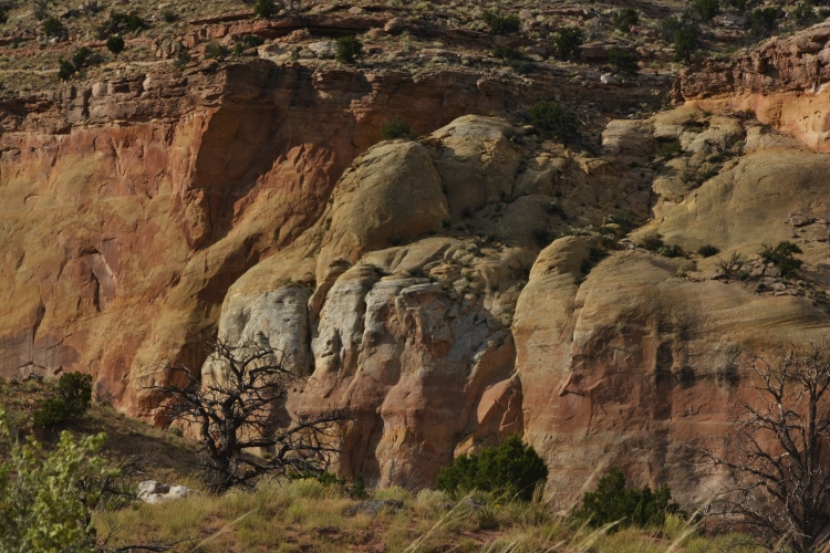 View from Chimney Rock Trail